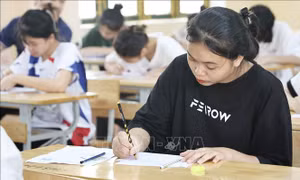 Kỳ thi Tốt nghiệp THPT 2023: Thí sinh Phú Thọ, Sơn La làm bài thi các môn tổ hợp