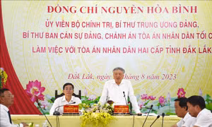Đẩy nhanh tiến độ giải quyết các loại án, nâng cao chất lượng xét xử