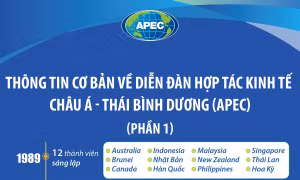 Thông tin cơ bản về Diễn đàn Hợp tác kinh tế châu Á - Thái Bình Dương