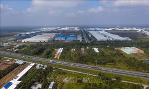 Đồng bằng sông Cửu Long đẩy mạnh thu hút đầu tư các dự án công nghệ cao