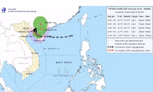 Bão số 4 không thay đổi cường độ cách Hải Phòng khoảng 120km