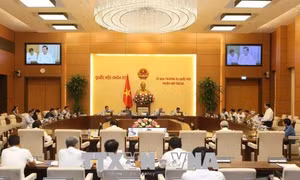 Gỡ vướng trong quy định về báo cáo đánh giá tác động môi trường của dự án đầu tư