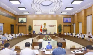 Hoàn thiện quy hoạch sau sắp xếp đơn vị hành chính với tầm nhìn dài hạn