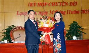 Phê chuẩn ông Đoàn Thanh Sơn giữ chức Phó Chủ tịch UBND tỉnh Lạng Sơn