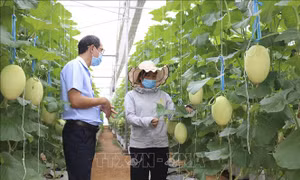 Bộ trưởng Lê Minh Hoan: Kích hoạt đào đạo nguồn nhân lực theo thị trường