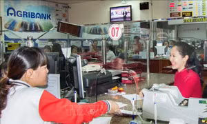 Các tổ chức tín dụng tích cực cải thiện quy trình cho vay