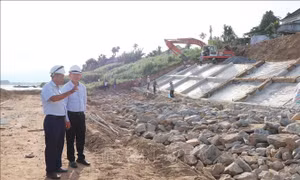 Quảng Ngãi: Đầu tư nhiều công trình chống sạt lở bờ sông, cửa biển
