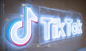 Anh xem xét khả năng cấm TikTok