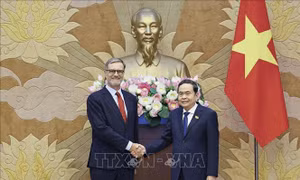Chủ tịch Quốc hội tiếp Đại sứ Pháp tại Việt Nam