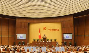 Điều chỉnh Chương trình xây dựng luật, pháp lệnh năm 2018