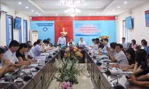 Tìm giải pháp nhằm phát triển kinh tế - xã hội khu vực trung du và miền núi phía Bắc