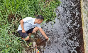 Cần xử lý dứt điểm nguồn xả thải gây ô nhiễm môi trường tại Khánh Hòa 