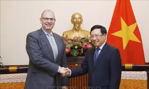 Phó Thủ tướng Phạm Bình Minh tiếp Đại sứ Đan Mạch và Đại sứ Bulgaria