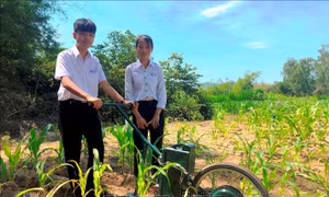 Học sinh lớp 9 chế tạo máy cày làm cỏ, bón phân