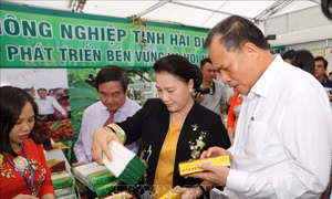 Chủ tịch Quốc hội Nguyễn Thị Kim Ngân thăm, làm việc tại Hải Dương