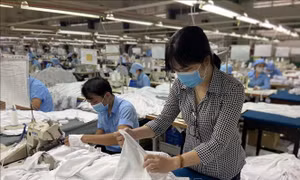 Học tập và làm theo Bác: Người lao động Long An mang lại lợi nhuận hàng tỷ đồng cho công ty