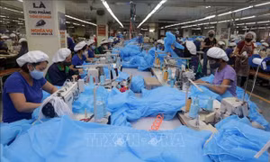 Hợp tác thương mại Việt Nam - Cộng hoà Séc còn nhiều dư địa