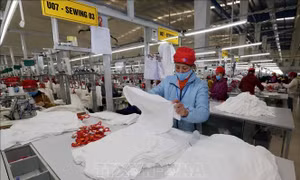 Đơn hàng tăng trở lại, doanh nghiệp dệt may lo thiếu lao động