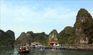 Quảng Ninh chuẩn bị đón khách ngoại tỉnh với điều kiện phòng dịch nghiêm ngặt