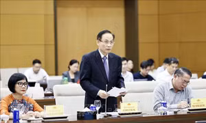 Nâng cao hiệu quả thực hiện thỏa thuận quốc tế