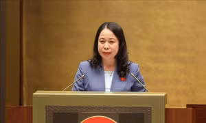 Đề nghị Quốc hội phê chuẩn văn kiện gia nhập CPTPP của Liên hiệp Vương quốc Anh và Bắc Ireland