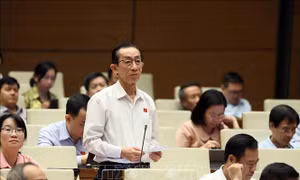 Hỗ trợ doanh nghiệp đáp ứng yêu cầu xuất khẩu vào thị trường Anh 