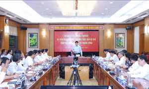 Thường trực Ban Bí thư làm việc với Ban Kinh tế Trung ương