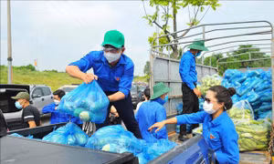 Phát huy sáng tạo ở thanh niên khơi nguồn cảm hứng cho sức sáng tạo toàn xã hội