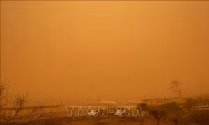 Bão cát từ Sahara 'đóng băng' quần đảo du lịch Canary nổi tiếng