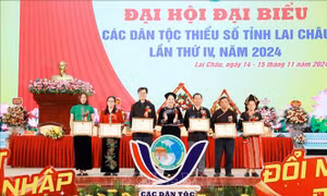 Thực hiện tốt các chính sách giúp vùng đồng bào dân tộc thiểu số phát triển bền vững