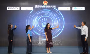 Phát triển nguồn nhân lực chất lượng cao trong ngành Du lịch