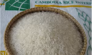 Việt Nam sẽ áp dụng thuế suất 0% cho 31 mặt hàng của Campuchia