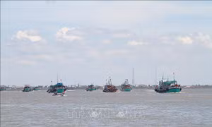 Tập trung thực hiện Chiến lược phát triển bền vững kinh tế biển Việt Nam