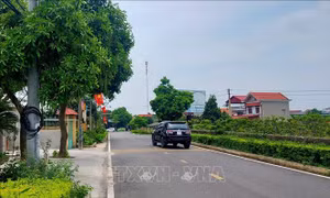 Phát triển đô thị Đông Triều theo mô hình xanh, thông minh, bền vững