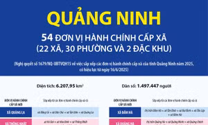 Thông tin chi tiết sắp xếp các đơn vị hành chính cấp xã của tỉnh Quảng Ninh