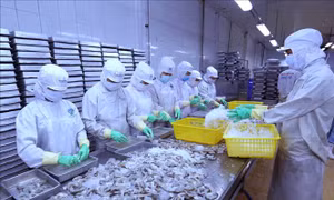 Vượt áp lực thẻ vàng IUU, xuất khẩu thủy sản dự kiến đạt mức 9 tỷ USD