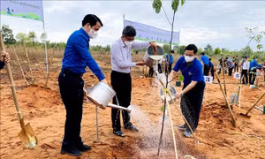 Đồng loạt ra quân 'Ngày Chủ nhật xanh' toàn quốc năm 2022