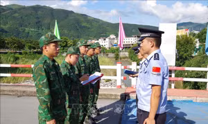 Tuần tra liên hợp chấp pháp trên biên giới