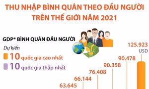 Thu nhập bình quân theo đầu người thế giới năm 2021