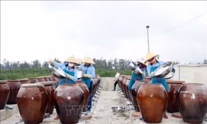 Phụ nữ Công giáo chung tay xây dựng cuộc sống mới