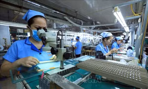 Hợp nhất các Thông tư quy định về đo lường