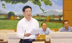Thay đổi thành viên Ban Chỉ đạo 389 quốc gia