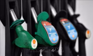 Liệu OPEC+ có thể đẩy giá dầu tăng trong năm tới?