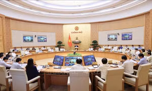 Nghị quyết phiên họp Chính phủ thường kỳ tháng 6/2023 