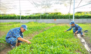 Chiến sĩ Lữ đoàn 167, Vùng 2 Hải quân tăng gia sản xuất