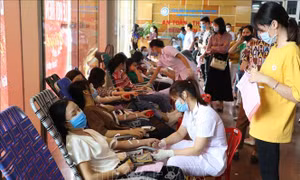 Hàng trăm người tham gia Ngày hội hiến máu tình nguyện tại Ninh Bình