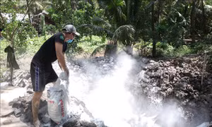 Bến Tre: Một số hộ chăn nuôi chậm khai báo, giấu dịch để tiêu thụ lợn