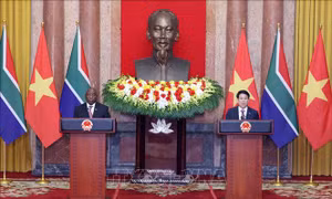 Tuyên bố chung Việt Nam-Nam Phi