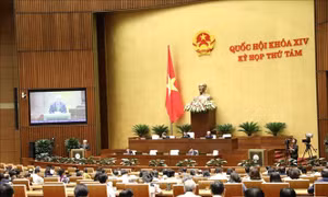 Nâng cao chất lượng hoạt động của thư viện trường học