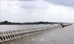 Cà Mau huy động trên 31.200 tỷ đồng xây dựng công trình phòng, chống sạt lở